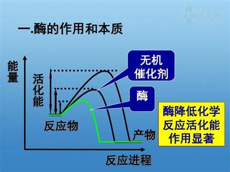 催化作用|催化